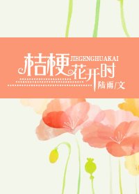 桔梗花开时